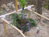 0805hrob04.jpg (122172 bytes)
